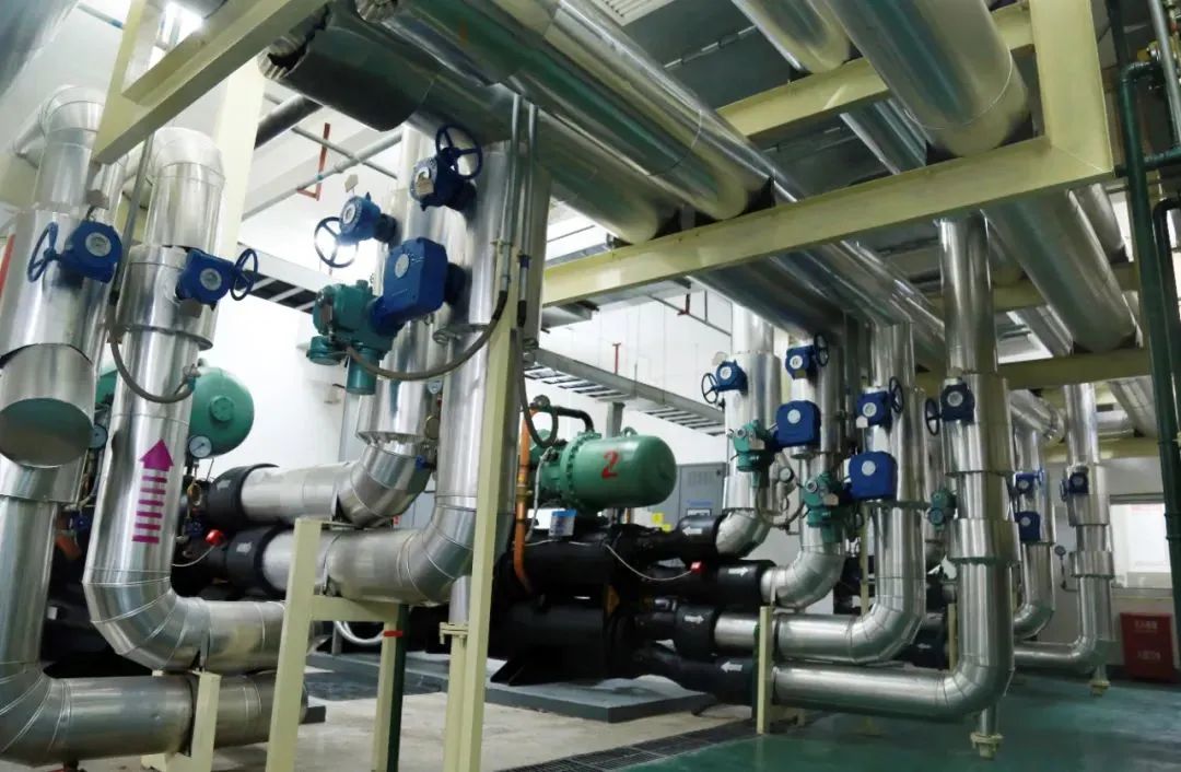 1701309672736402.jpg 1701309672736402.jpg